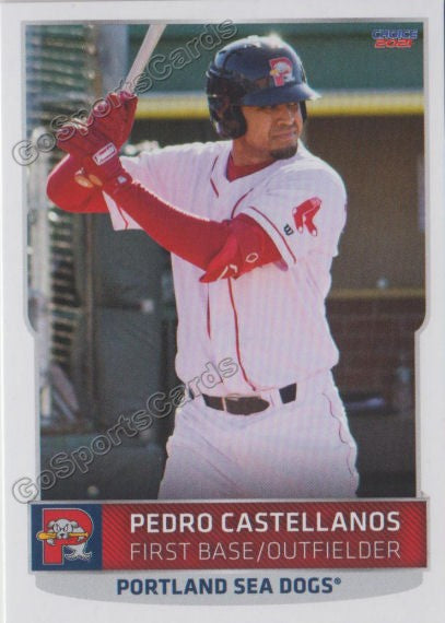 2021 Portland Sea Dogs Pedro Castellanos