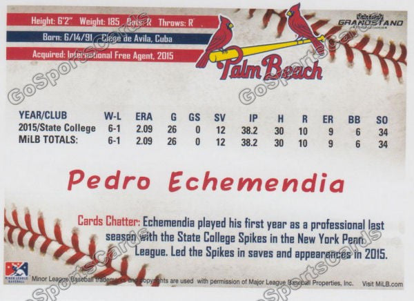 2016 Palm Beach Cardinals Pedro Echemendia  Back of Card
