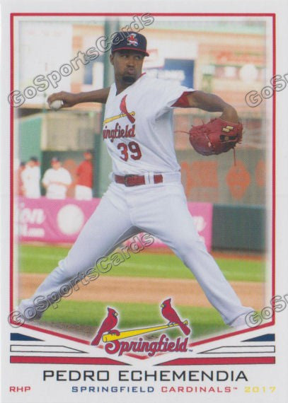 2017 Springfield Cardinals Pedro Echemendia