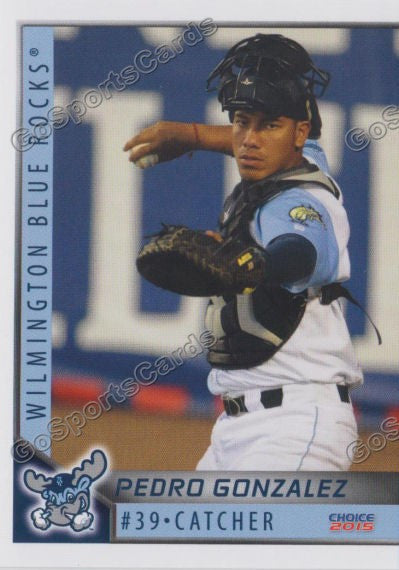 2015 Wilmington Blue Rocks Pedro Gonzalez