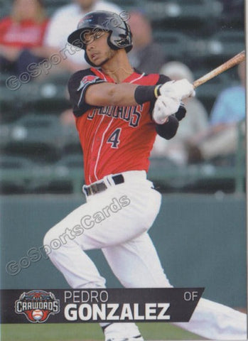 2018 Hickory Crawdads 2nd Pedro Gonzalez