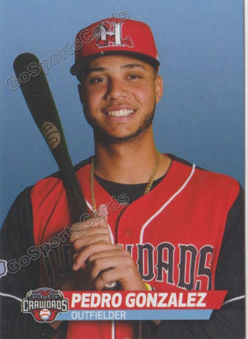 2019 Hickory Crawdads Pedro Gonzalez