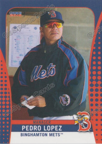 2016 Binghamton Mets Pedro Lopez