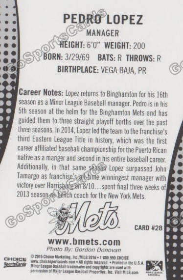 2016 Binghamton Mets Pedro Lopez Back of Card