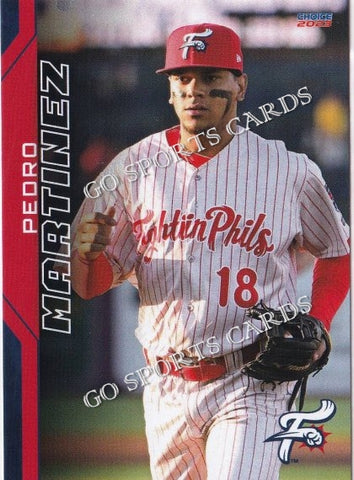 2023 Reading Fightin Phils Pedro Martinez