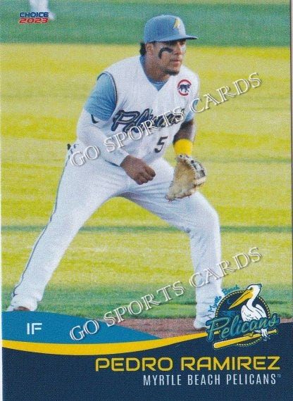 2023 Myrtle Beach Pelicans Pedro Ramirez