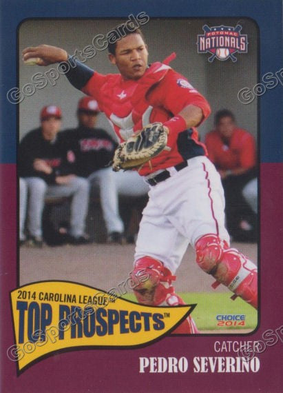2014 Carolina League Top Prospect Pedro Severino