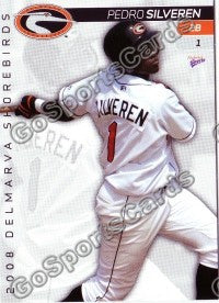 2008 Delmarva Shorebirds Pedro Silveren