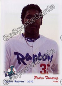 2010 Ogden Raptors Pedro Tavarez