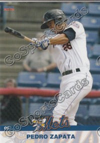 2012 Binghamton Mets Pedro Zapata