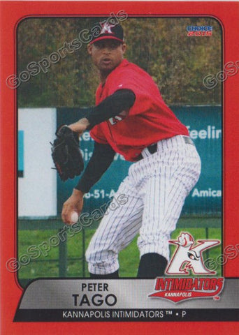 2015 Kannapolis Intimidators Peter Tago
