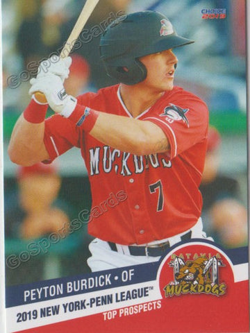 2019 New York Penn League Top Prospects NYPL Peyton Burdick