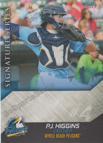 2017 Myrtle Beach Pelicans PJ Higgins