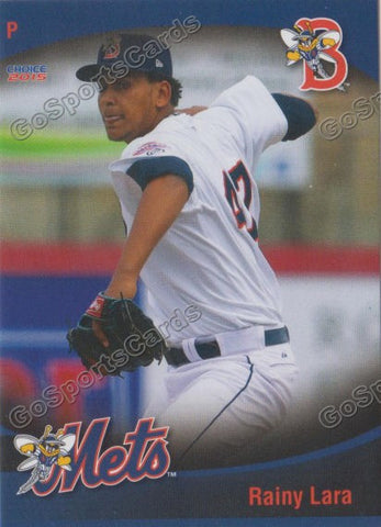 2015 Binghamton Mets Rainy Lara