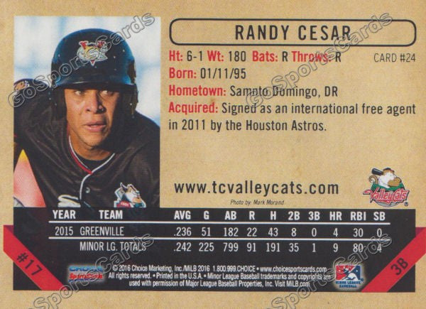 2016 Tri City ValleyCats Randy Cesar Back of Card