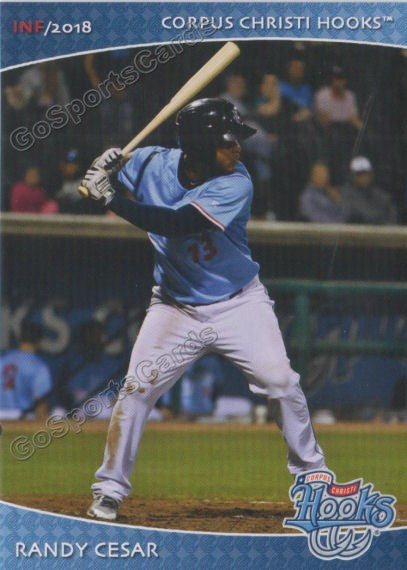 2018 Corpus Christi Hooks Randy Cesar