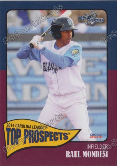 2014 Carolina League Top Prospect Raul Mondesi