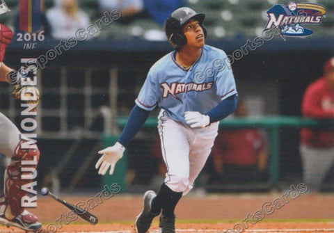 2016 Northwest Arkansas Naturals Raul Mondesi