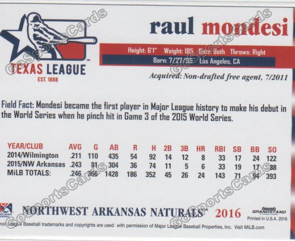 2016 Texas League Top Prospect Raul Mondesi Back of Card