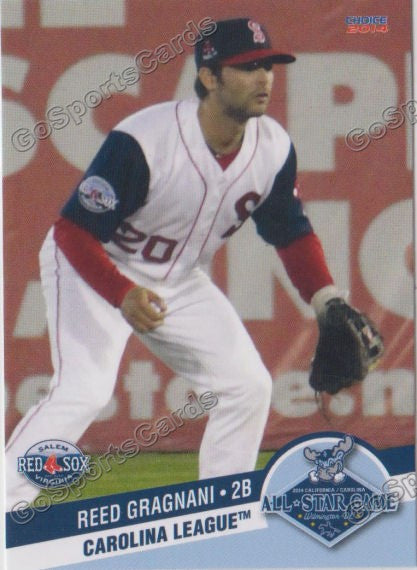 2014 Carolina League All Star Reed Gragnani