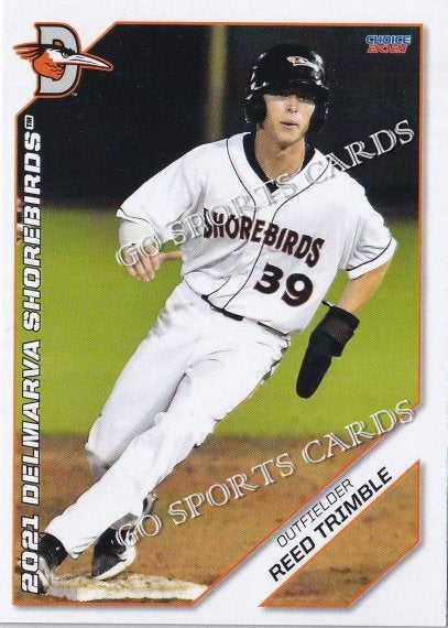 2021 Delmarva Shorebirds Update Reed Trimble