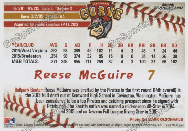 2016 Altoona Curve Reese McGuire Back of Card