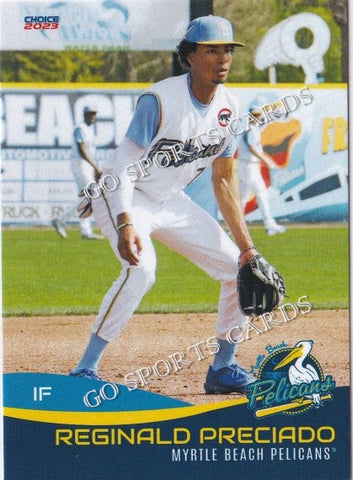 2023 Myrtle Beach Pelicans Reginald Preciado