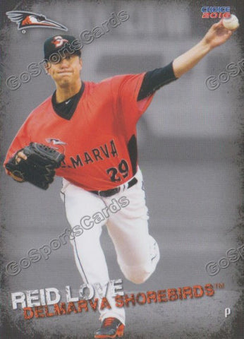 2016 Delmarva Shorebirds Reid Love