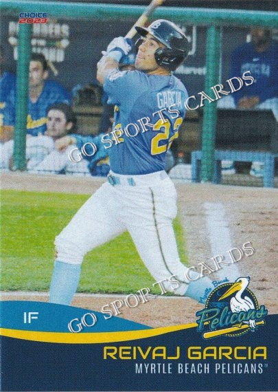2023 Myrtle Beach Pelicans Reivaj Garcia