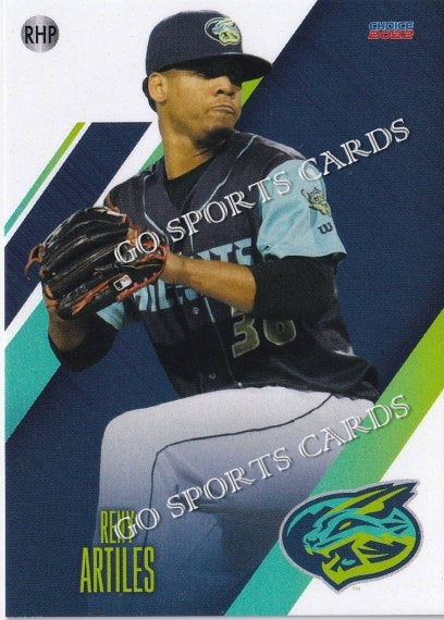 2022 Lynchburg Hillcats Reny Artiles