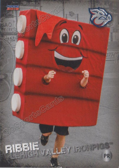 2018 Lehigh Valley IronPigs Ribbie Mascot