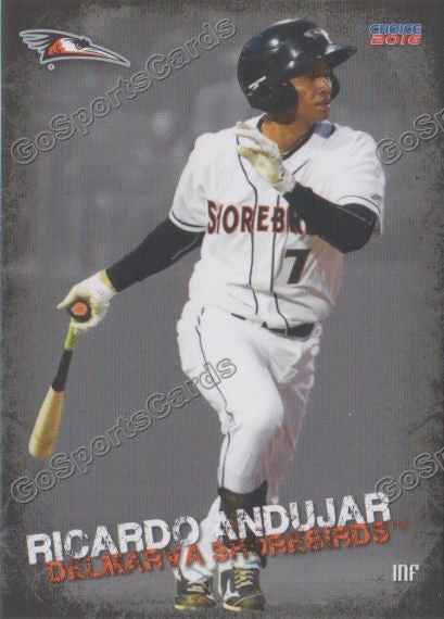 2016 Delmarva Shorebirds Ricardo Andujar