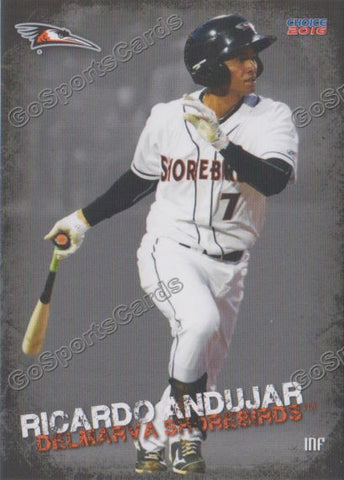2016 Delmarva Shorebirds Ricardo Andujar
