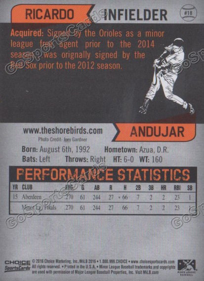 2016 Delmarva Shorebirds Ricardo Andujar  Back of Card