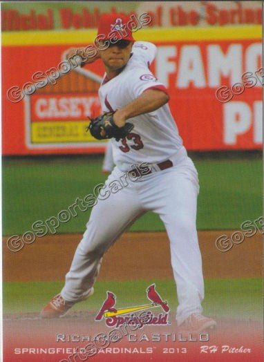 2013 Springfield Cardinals Richard Castillo