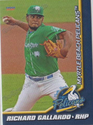 2021 Myrtle Beach Pelicans Richard Gallardo