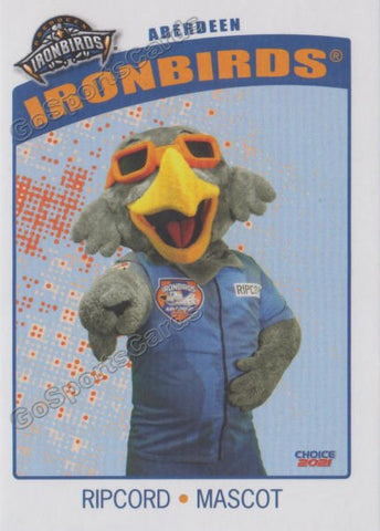 2021 Aberdeen Ironbirds Ripcord Mascot