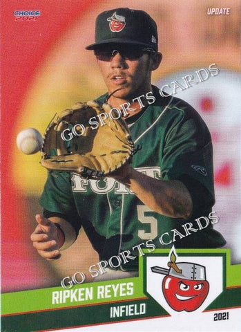 2021 Fort Wayne TinCaps Ripken Reyes
