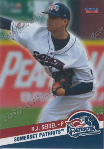 2015 Somerset Patriots RJ Seidel