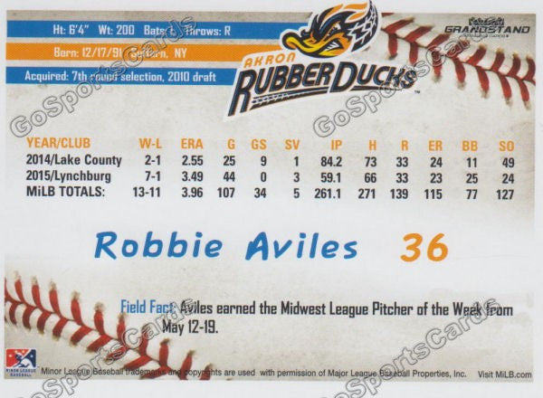 2016 Akron Aeros Robbie Aviles Back of Card