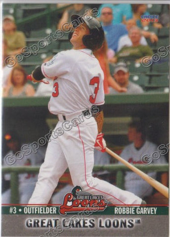 2013 Great Lakes Loons Robbie Garvey