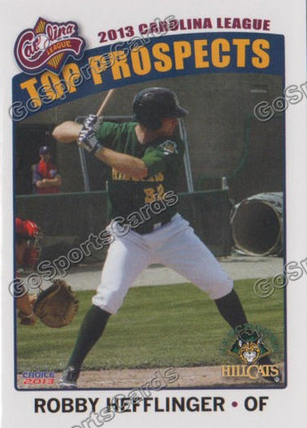 2013 Carolina League Top Prospect Robby Hefflinger