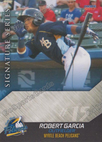 2017 Myrtle Beach Pelicans Robert Garcia