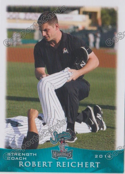2014 Jupiter Hammerheads Robert Reichert