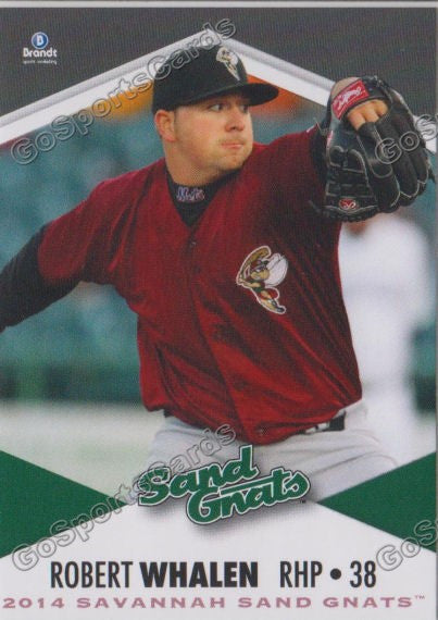 2014 Savannah Sand Gnats Robert Rob Whalen