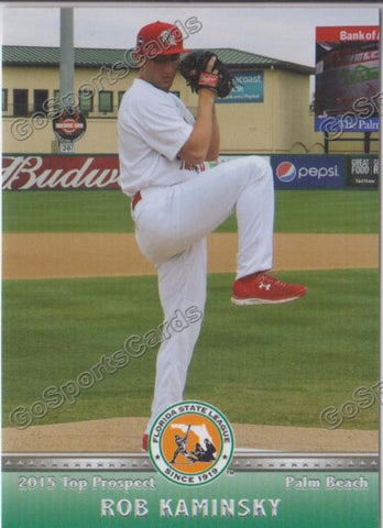 2015 Florida State League Top Prospect Rob Kaminsky