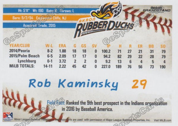 2016 Akron Aeros Rob Kaminsky Back of Card