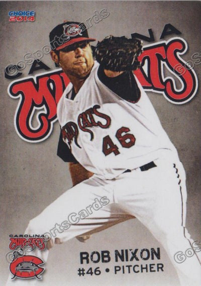 2014 Carolina Mudcats Rob Nixon