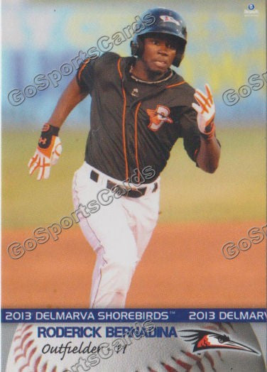 2013 Delmarva Shorebirds Roderick Bernadina