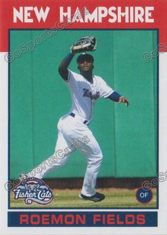 2016 New Hampshire Fisher Cats Roemon Fields